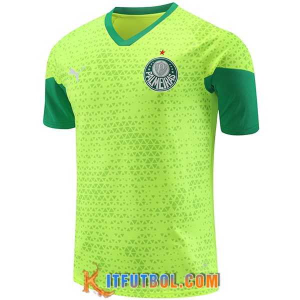Camiseta Entrenamiento Palmeiras Verde/Amarillo 2024/2025