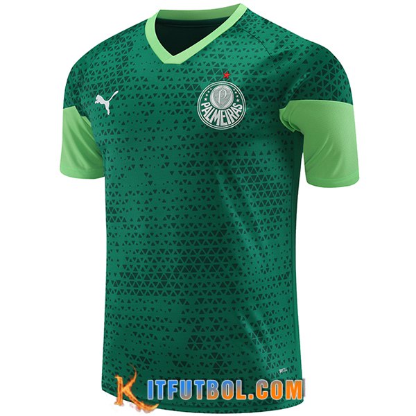 Camiseta Entrenamiento Palmeiras Verde 2024/2025 -03