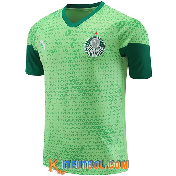 Camiseta Entrenamiento Palmeiras Verde 2024/2025 -04