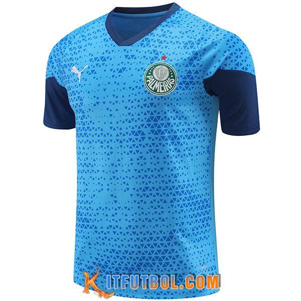 Camiseta Entrenamiento Palmeiras Azul 2024/2025