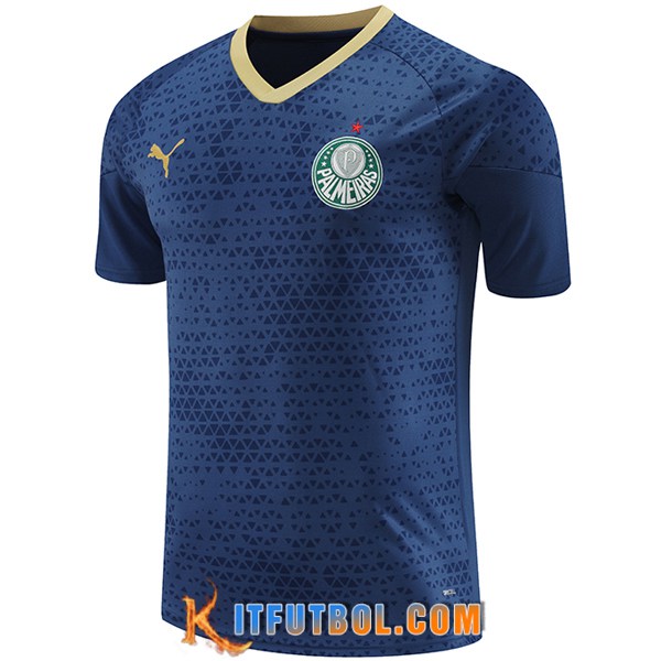 Camiseta Entrenamiento Palmeiras Azul marino 2024/2025