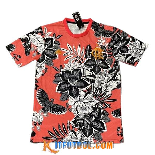 Camisetas De Futbol Flamengo Special Edition Rojo 2024/2025