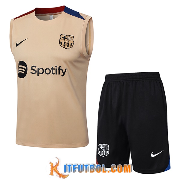 Camiseta Entrenamiento sin mangas FC Barcelona Marrón/Azul/Rojo 2024/2025