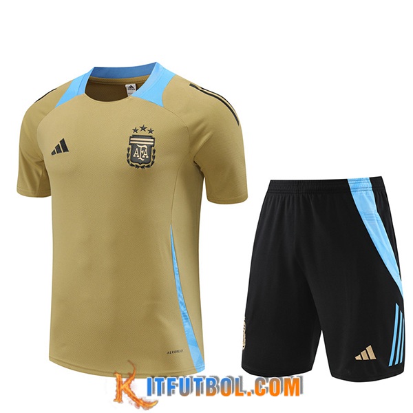 Camiseta Entrenamiento Argentina Amarillo/Azul 2024/2025
