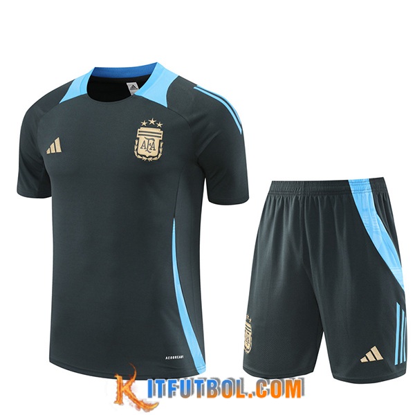 Camiseta Entrenamiento Argentina Gris/Azul 2024/2025 -02