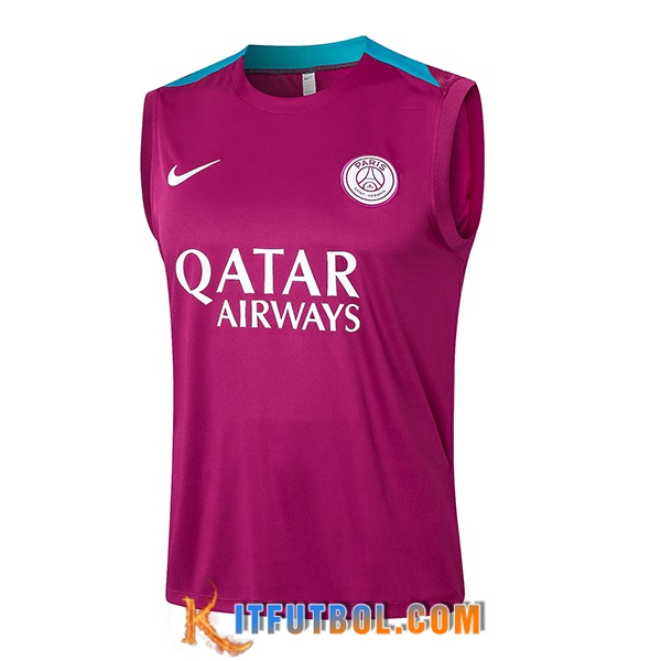 Chalecos De Futbol PSG Violeta 2024/2025