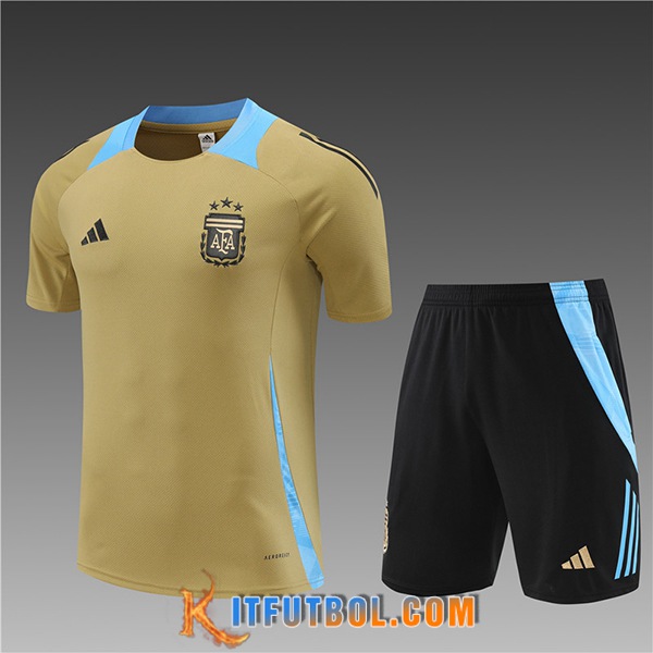 Camiseta Entrenamiento Argentina Ninos Amarillo/Azul 2024/2025