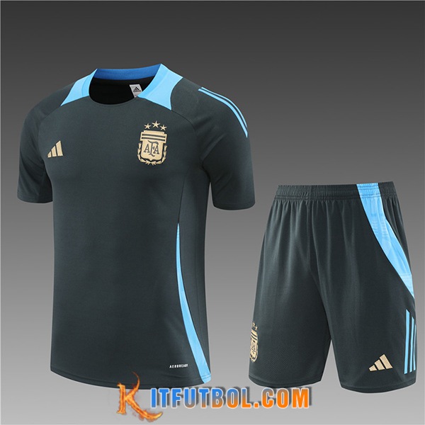 Camiseta Entrenamiento Argentina Ninos Gris/Azul 2024/2025