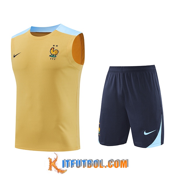 Camiseta Entrenamiento sin mangas Francia Amarillo/Azul 2024/2025