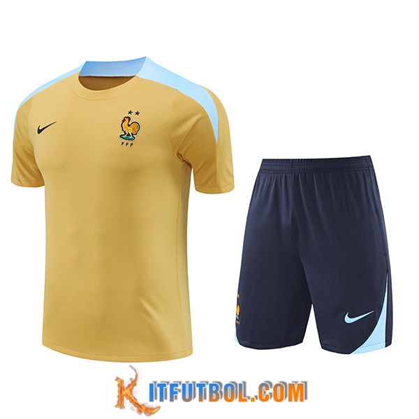 Camiseta Entrenamiento Francia Amarillo/Azul 2024/2025