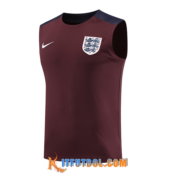 Chalecos De Futbol Inglaterra Rojo/Azul 2024/2025
