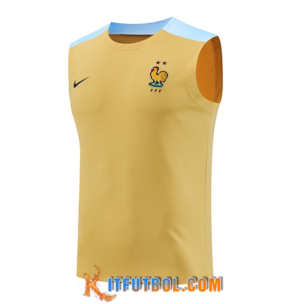 Chalecos De Futbol Francia Amarillo/Azul 2024/2025