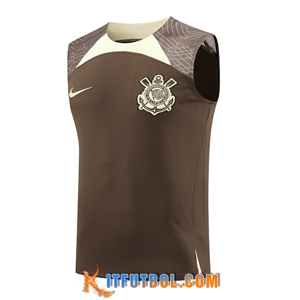Chalecos De Futbol Corinthians Marrón/Beige 2024/2025