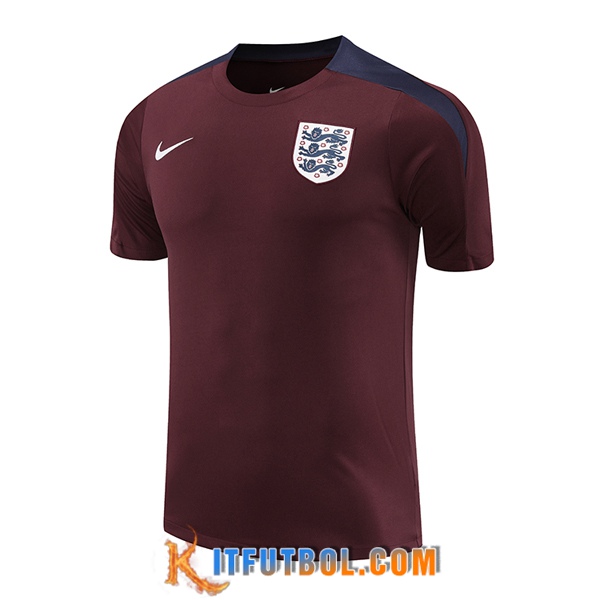Camiseta Entrenamiento Inglaterra Rojo/Azul 2024/2025