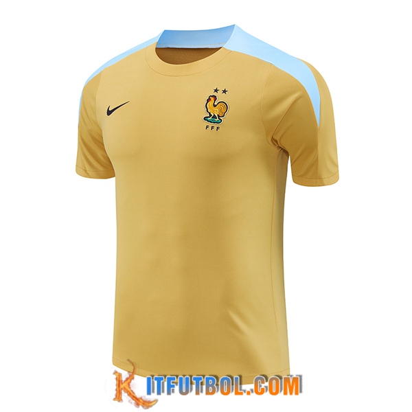 Camiseta Entrenamiento Francia Amarillo/Azul 2024/2025
