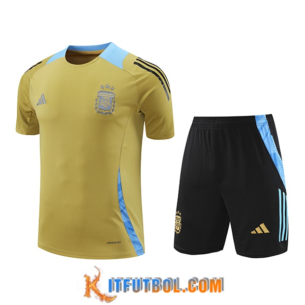 Camiseta Entrenamiento Argentina Amarillo/Azul 2024/2025