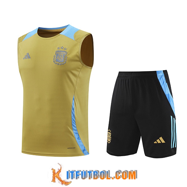 Camiseta Entrenamiento sin mangas Argentina Amarillo/Azul 2024/2025