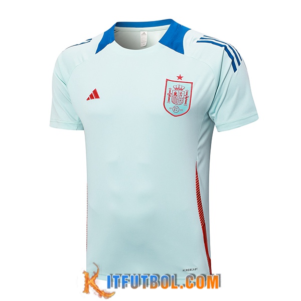 Camiseta Entrenamiento España Azul Claro 2024/2025
