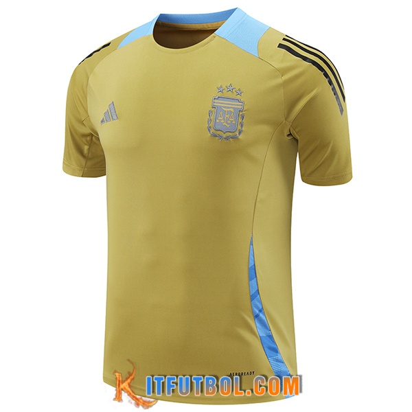 Camiseta Entrenamiento Argentina Amarillo/Azul 2024/2025