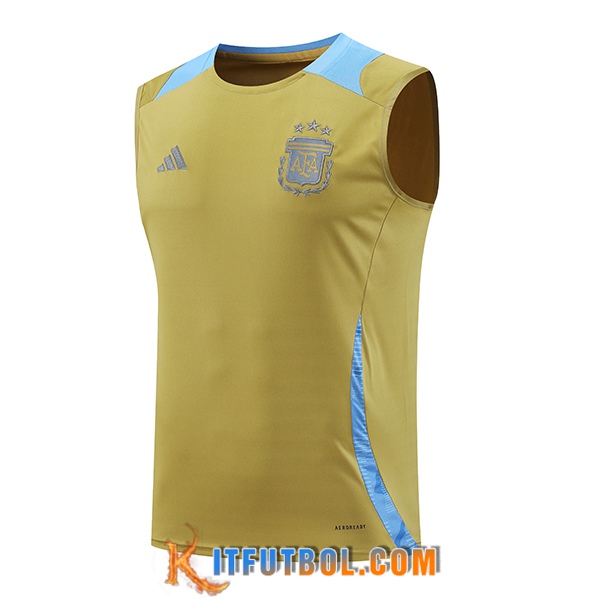 Chalecos De Futbol Argentina Amarillo/Azul 2024/2025