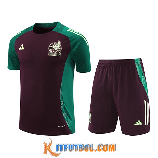 Camiseta Entrenamiento México Verde/Marrón 2024/2025
