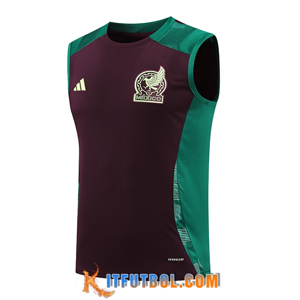 Chalecos De Futbol México Verde/Marrón 2024/2025
