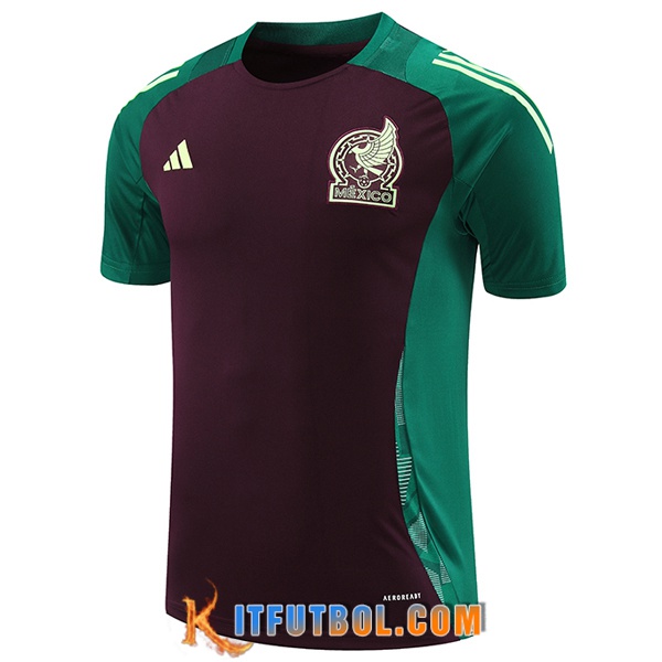 Camiseta Entrenamiento México Verde/Marrón 2024/2025