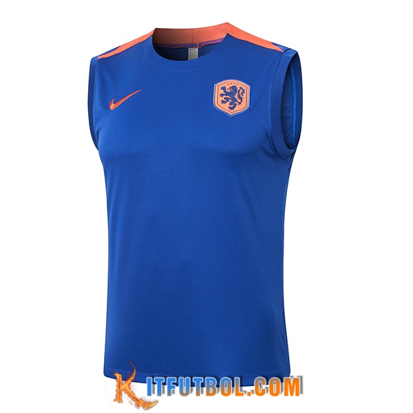 Chalecos De Futbol Países Bajos Azul/Naranja 2024/2025