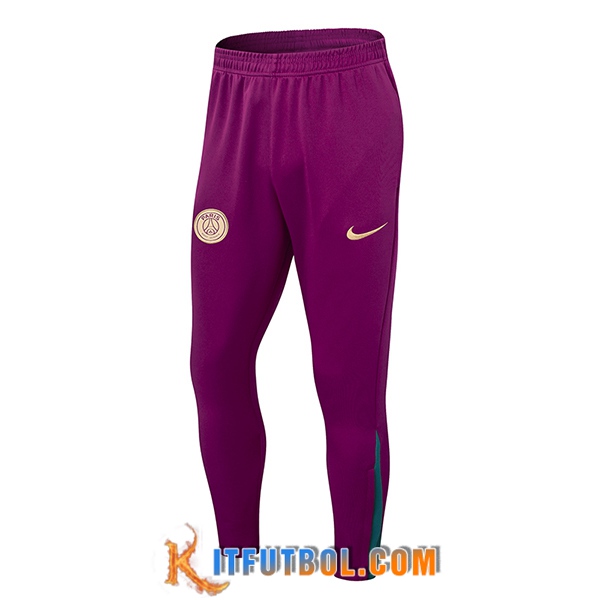 Pantalon Entrenamiento PSG Violeta 2024/2025