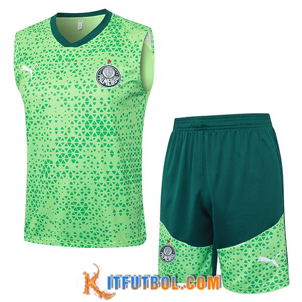 Camiseta Entrenamiento sin mangas Palmeiras Verde 2024/2025 -03
