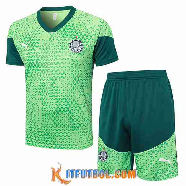 Camiseta Entrenamiento Palmeiras Verde 2024/2025 -05