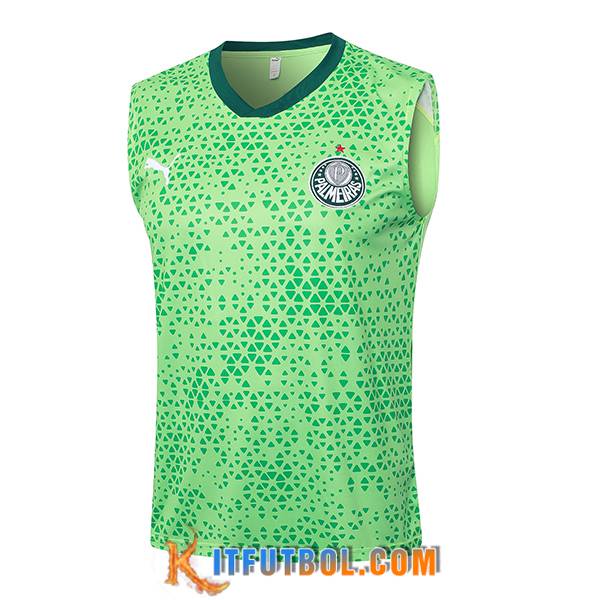 Chalecos De Futbol Palmeiras Verde 2024/2025 -03
