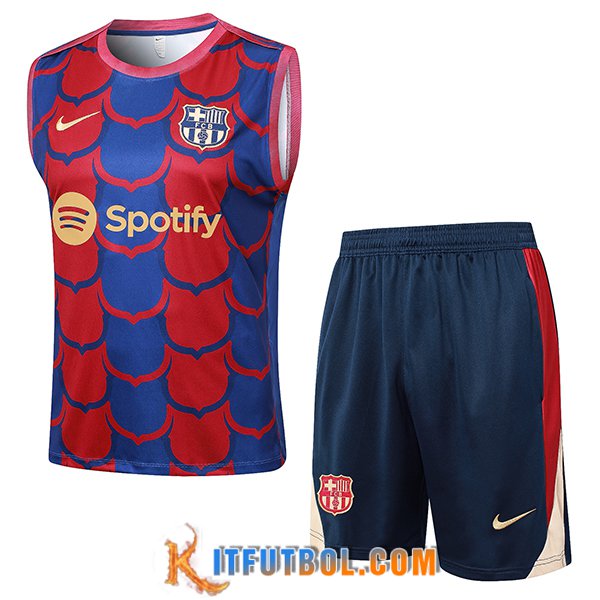 Camiseta Entrenamiento sin mangas FC Barcelona Rojo/Azul 2024/2025
