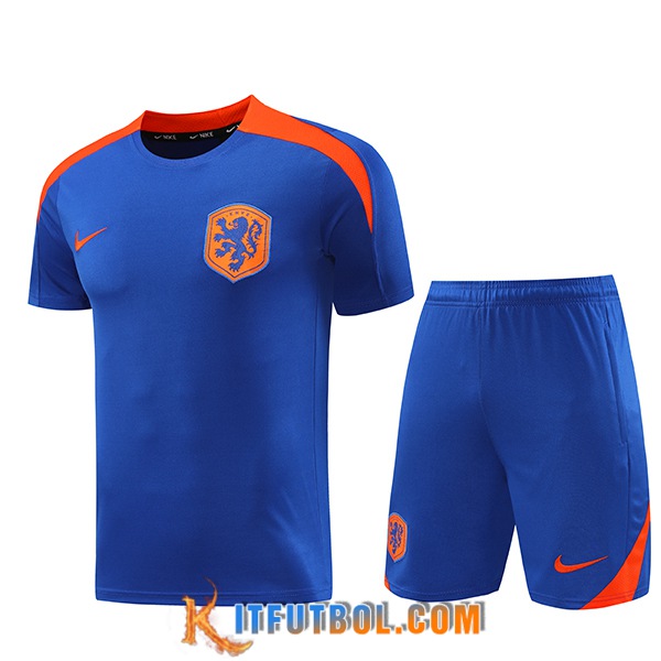 Camiseta Entrenamiento Países Bajos Azul/Naranja 2024/2025