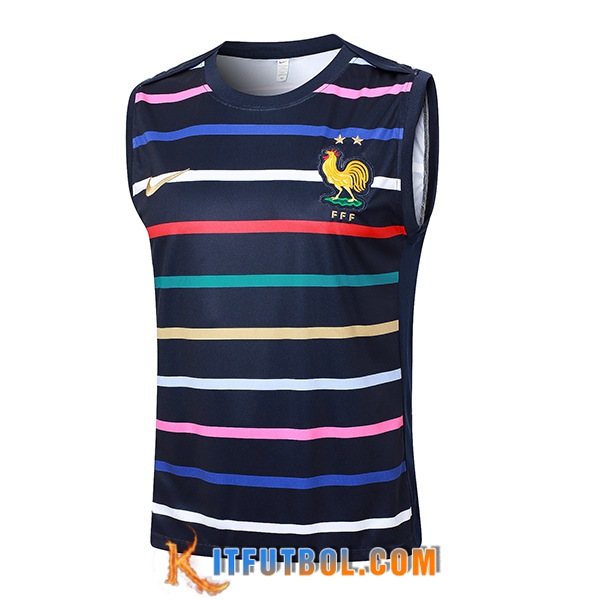Chalecos De Futbol Francia azul real 2024/2025