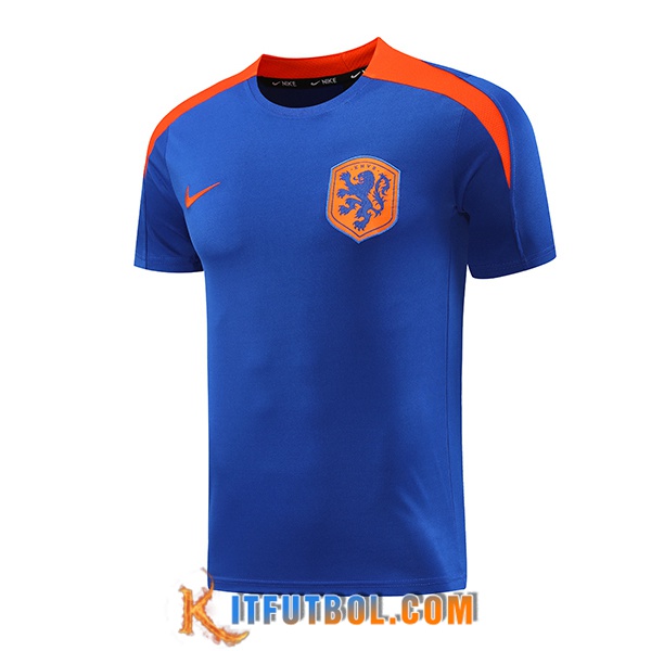 Camiseta Entrenamiento Países Bajos Azul/Naranja 2024/2025