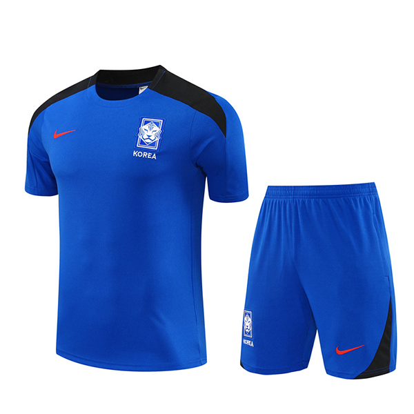 Camiseta Entrenamiento Corée Du Sud Azul/Negro 2024/2025