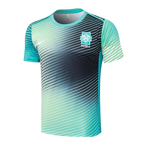 Camiseta Entrenamiento Corée Du Sud Verde/ 2024/2025