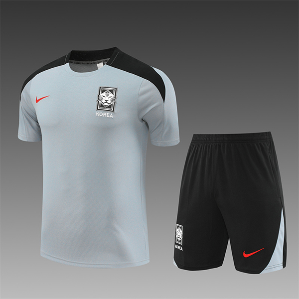 Camiseta Entrenamiento Corée Du Sud Ninos Gris/Negro 2024/2025