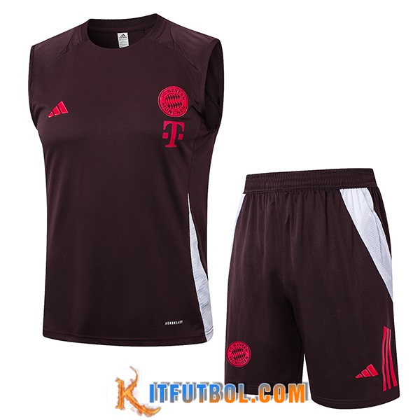 Camiseta Entrenamiento sin mangas Bayern Munich Marrón 2024/2025