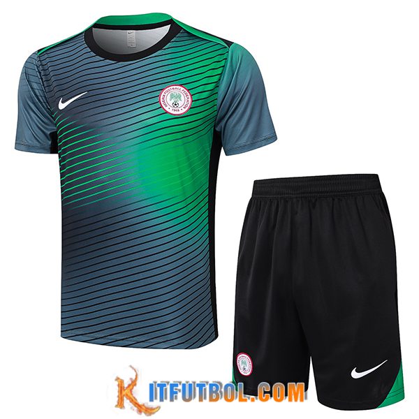 Camiseta Entrenamiento Nigeria Gris/Verde 2024/2025
