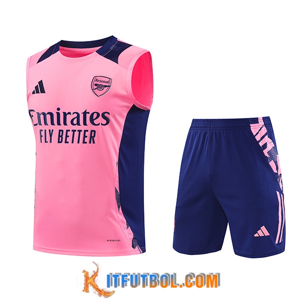 Camiseta Entrenamiento sin mangas Arsenal Rosa/Violeta 2024/2025