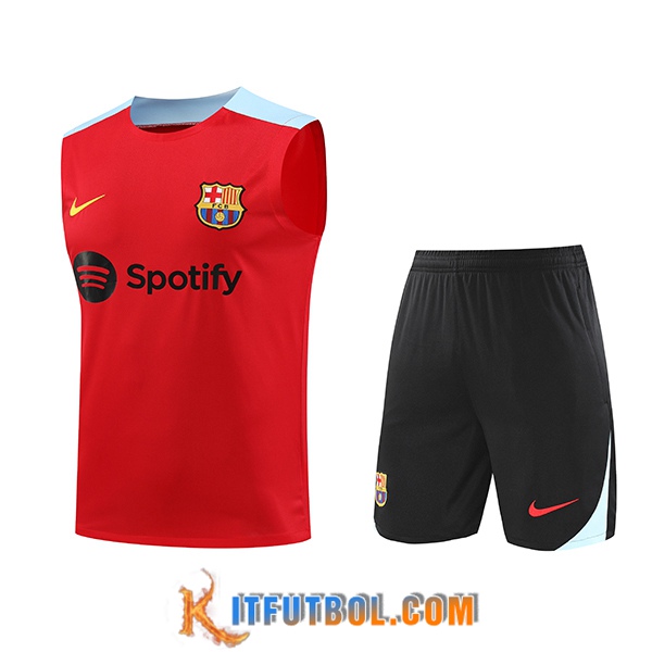 Camiseta Entrenamiento sin mangas FC Barcelona Rojo/Azul 2024/2025
