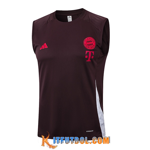 Chalecos De Futbol Bayern Munich Marrón 2024/2025