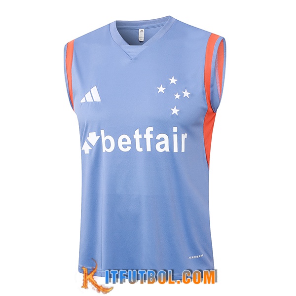 Chalecos De Futbol Cruzeiro Gris/Naranja 2024/2025