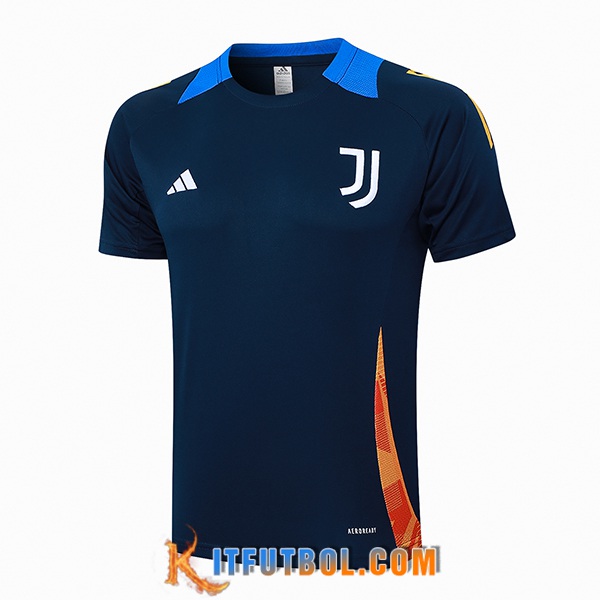 Camiseta Entrenamiento Juventus azul real 2024/2025