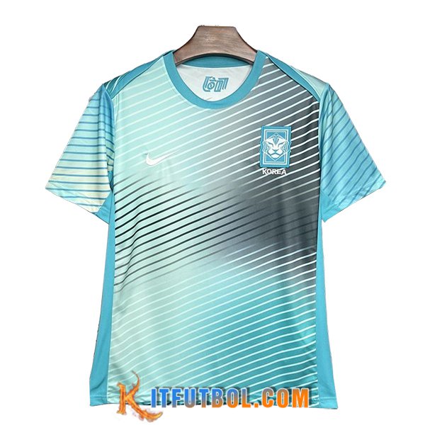 Camiseta Entrenamiento Corée Du Sud Azul/Gris 2024/2025