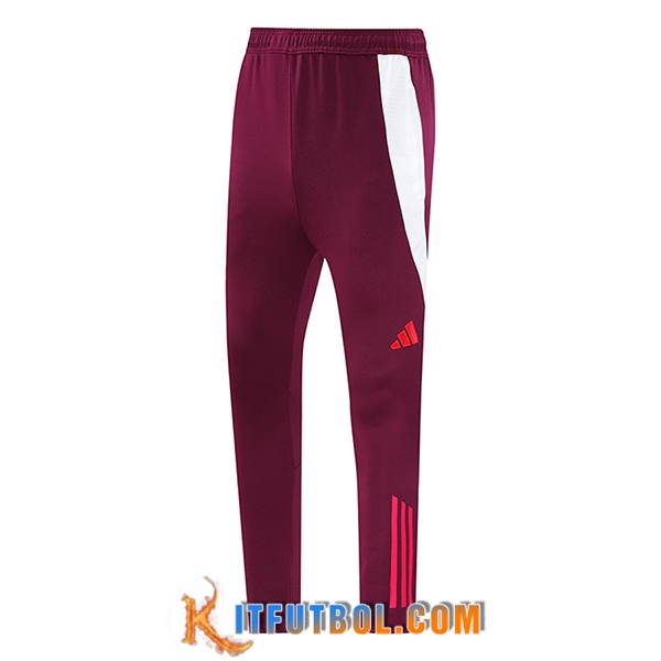 Pantalon Entrenamiento Bayern Munich Rojo 2024/2025