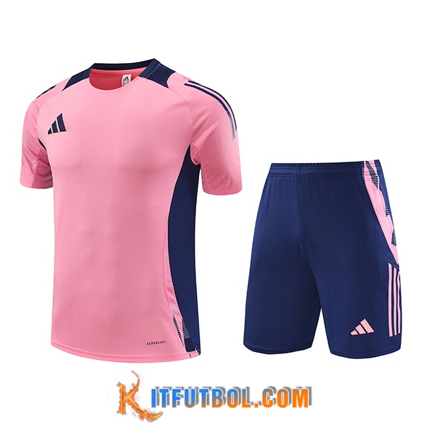 Camiseta Entrenamiento Adidas Rosa/Violeta 2024/2025