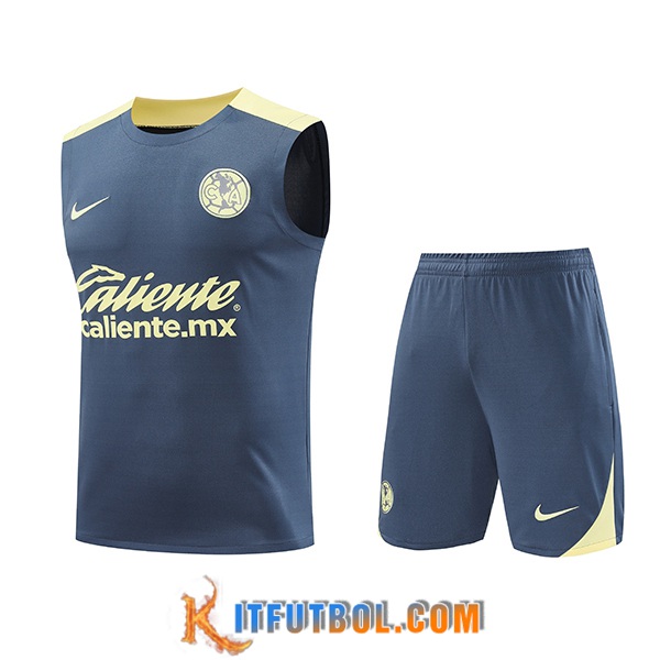 Camiseta Entrenamiento sin mangas Club America Gris/Amarillo 2024/2025